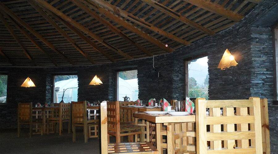Jerrys Jungle Hunts, Palampur 4